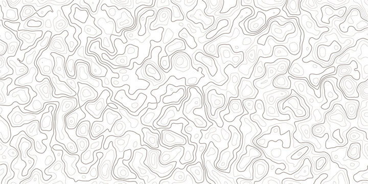 Gray wavy topographic contour map lines on white background texture pattern