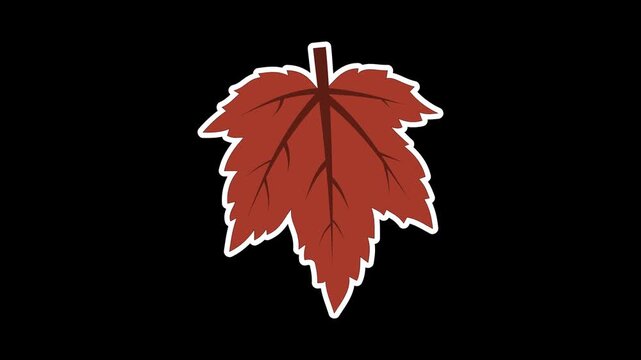 Seamless looping animation of a swinging dry maple leaf for autumn and fall seasonal concepts. Flat style sticker design element isolated on transparent alpha channel background