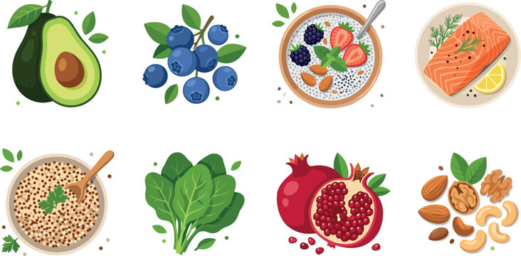 Healthy superfood vector illustration set with avocado blueberries chia pudding salmon spinach pomegranate and mixed nuts for nutrition