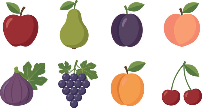 Simple fruit icon set vector illustration with apple pear plum peach fig grapes apricot and cherries flat style