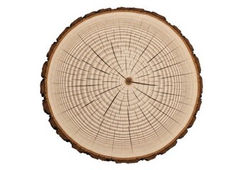 Fototapeta premium Cross Section of Tree Trunk Showing Growth Rings and Bark Texture Isolated on White Background