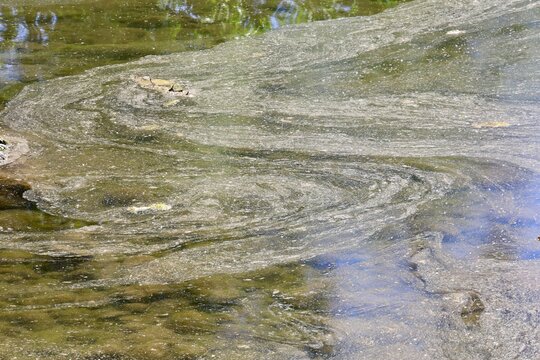 Polluted water with floating toxic film