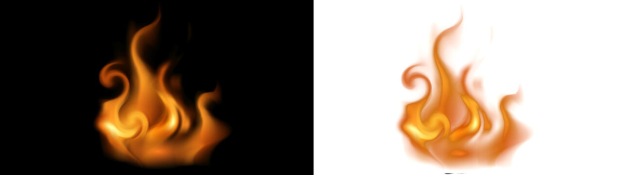 Two vinyl records with orange labels, isolated on transparent background