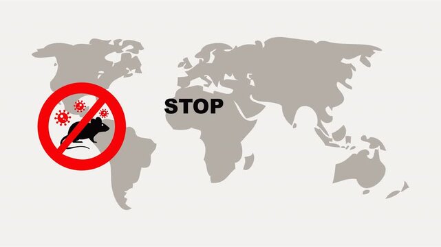 Global map icon, red circle, rat silhouette, virus particles, bold black text symbolizes stop on hantavirus. Suitable for educational websites, science presentations & awareness campaign.