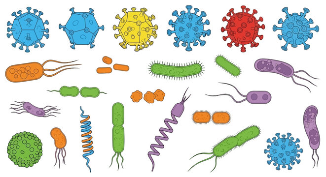 Collection of various colorful cartoon viruses, bacteria, and germs icons isolated on white background