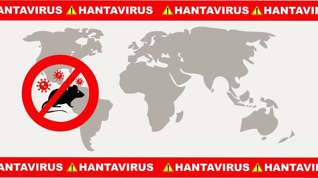 Red hantavirus warning labels on gray world map with black mouse silhouette and virus icons. Suitable for web banners, social media, educational materials, and presentations.