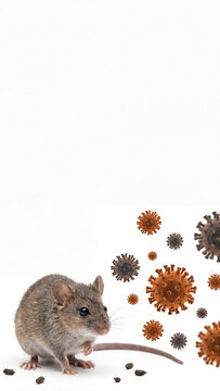 Deer mouse near brown virus particles on white background, rodent disease transmission concept