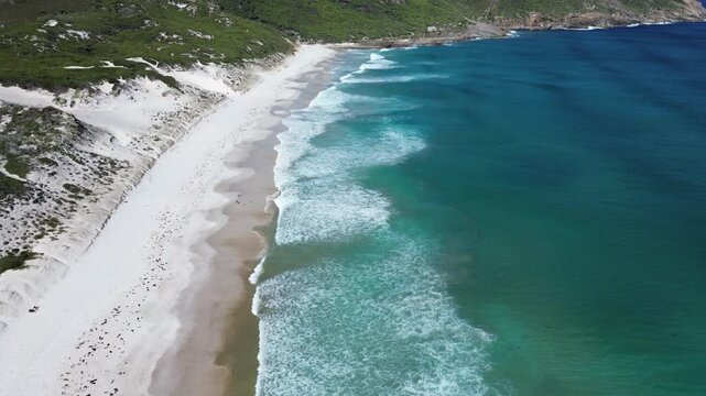 Pullback of Squeaky Beach Coastline
