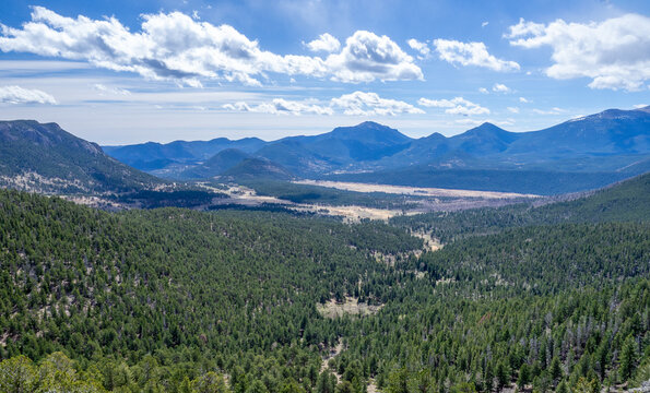 Valley view of pine forest in Rocky Mountains National Park in Colorado USA