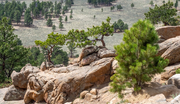 Valley view of Rocky Mountains National Park in Colorado USA