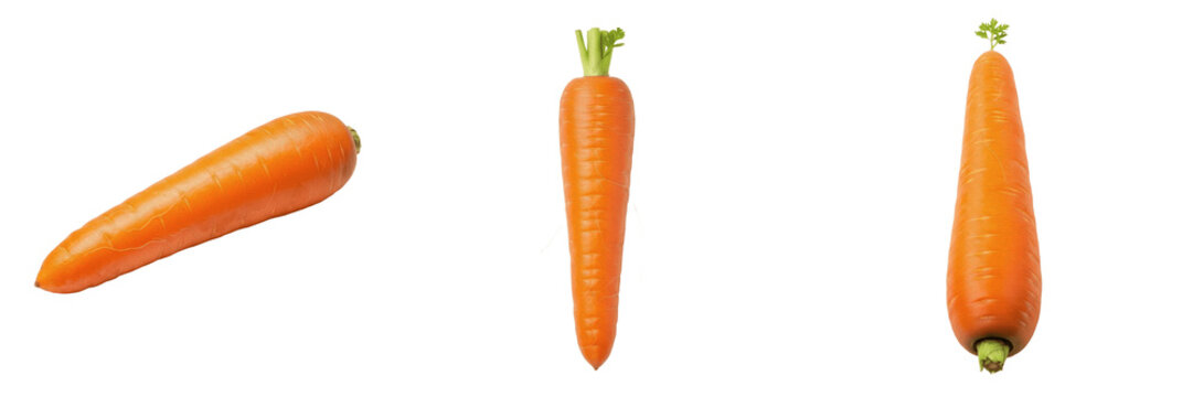 Set of Three Fresh Organic Carrots Isolated on White Background, Healthy Root Vegetable Ingredients for Cooking and Nutrition, High Quality Studio Cutout PNG for Food Blogs, Restaurant Menus, and Grap