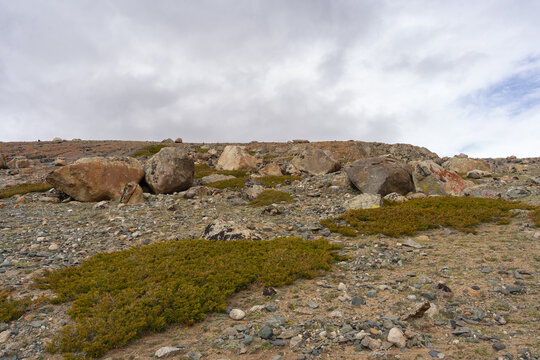 Rocky Alpine Tundra with Granite Boulders, Lichen and Low Shrubs on Highland Plateau, Mongolian Altai