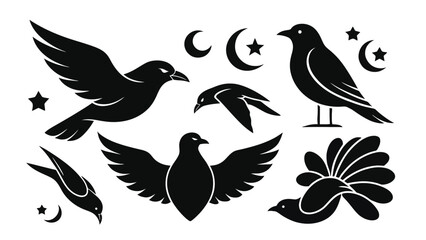 Obraz premium Silhouette bird collection with flying doves swallows and night sky elements stars and crescent moon