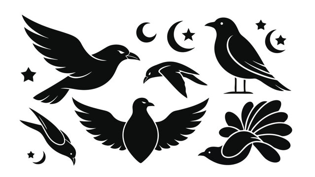 Silhouette bird collection with flying doves swallows and night sky elements stars and crescent moon