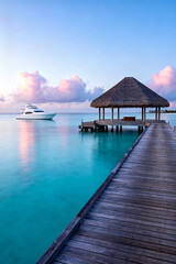 Fototapeta premium pier in the maldives