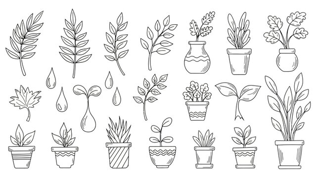 Hand-drawn collection of various plants, leaves, and potted seedlings, illustrating growth and nature.