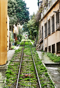 The Funicular of Sant'Anna in Genoa, Italy, featuring the steep, narrow tracks and vibrant greenery lining the route, Europe