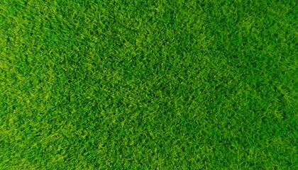 Obraz premium Fresh Green Grass Texture Background – Natural Lawn Surface Close Up