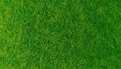 Fototapeten Grün Fresh Green Grass Texture Background – Natural Lawn Surface Close Up  © TF_studios