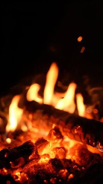 Close-up of burning fire with glowing embers.