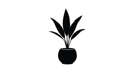 Silhouette of a simple potted plant with upright green leaves in a round pot. © Most Anowara