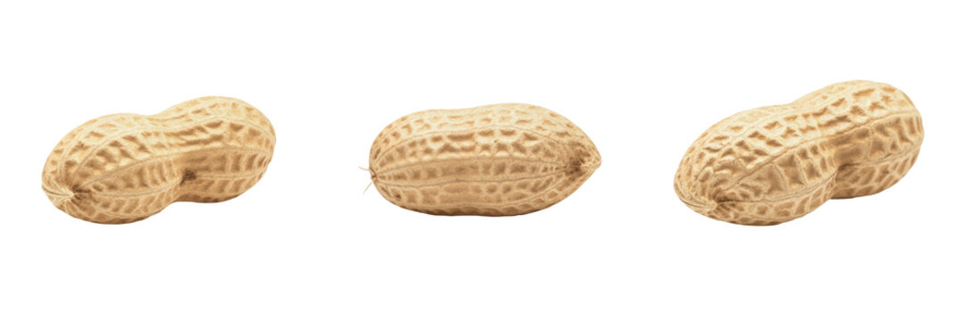 Whole peanuts in shell set 3D illustration isolated on white background. Raw organic monkey nuts, groundnuts pile, crunchy roasted peanut seed pod food ingredient for design graphic element, healthy s