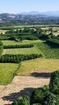 Aerial View of Lush Agricultural Fields and Vineyards in Piedmont Italy