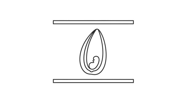 Embryo development in seed, concept of growth, life cycle, beginning, nature, science