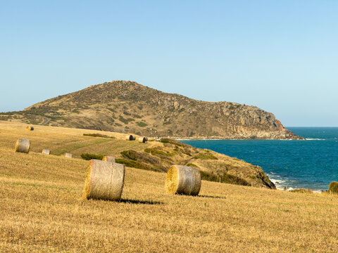 Hay bales sit in a field in front of The Bluff near Encounter Bay in South Australia