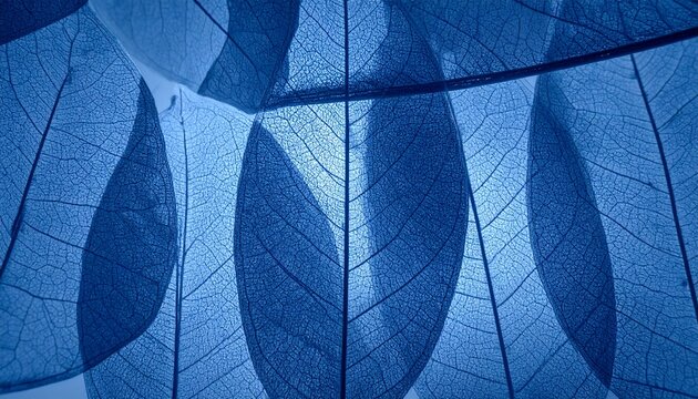 Close-up view of blue leaf veins on a plant leaf in nature