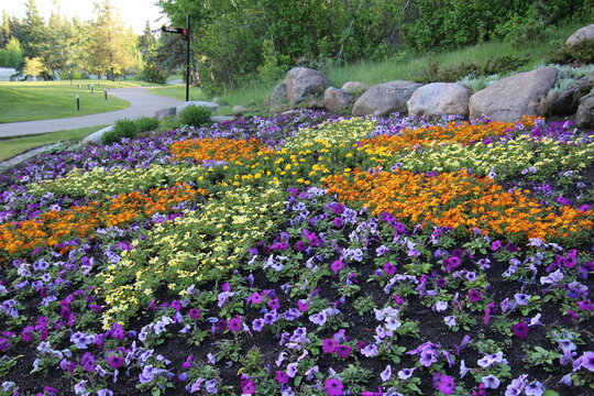 spring in the park, U of A Botanic Gardens, Devon, Alberta