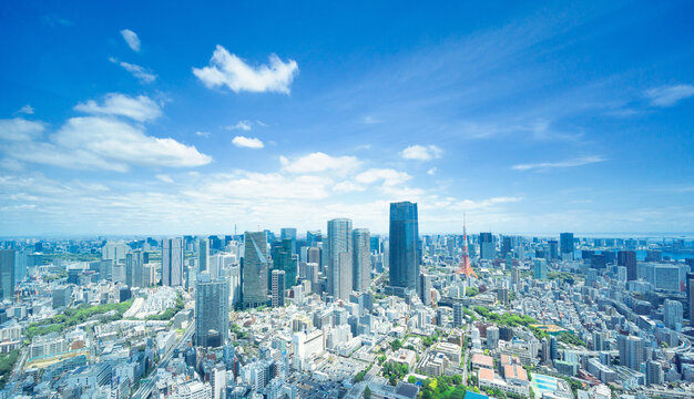 初夏の東京都心ワイド・2026
