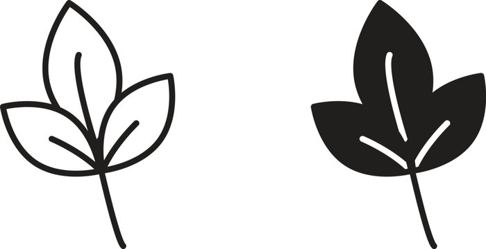 Basil icon