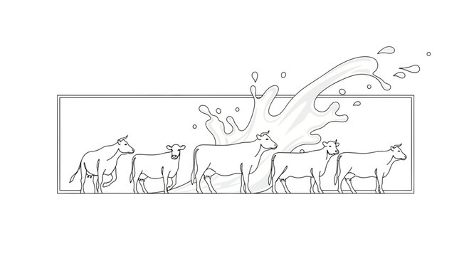 Cows and Milk Splash Line Art Illustration