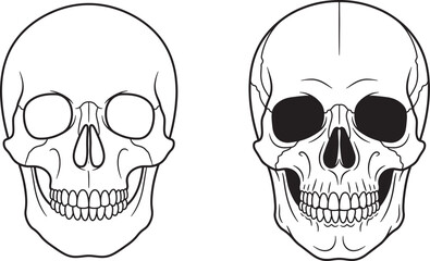Obraz premium Two skulls, one with empty eye sockets and the other with black eye sockets