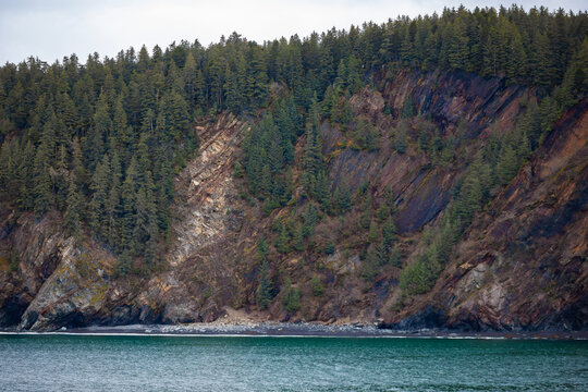 Kenai Fjords National Park, tree covered cliffside by the water