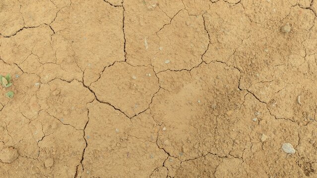 Parched dry cracked earth background texture representing global warming and environmental drought conditions