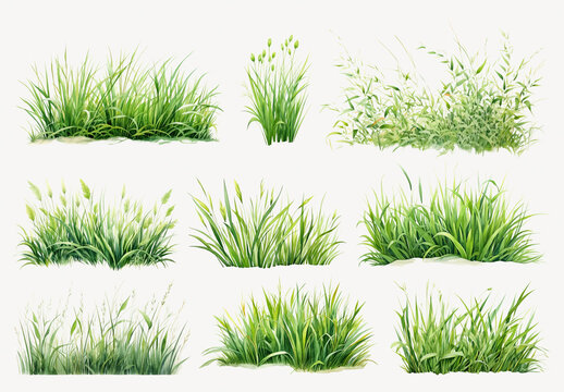 Lush Green Grass Vector Element Set