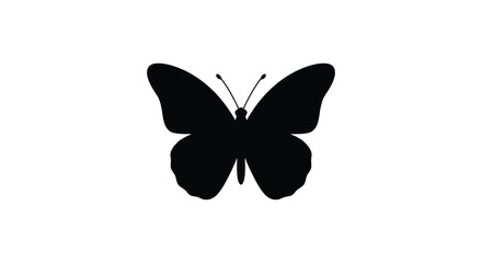 Black Butterfly Silhouette On White Background Minimalist Insect Shape © Bismillahadobe