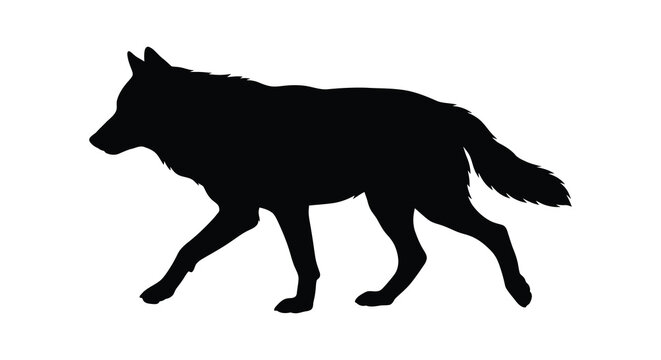 Wolf Silhouette Against A White Background Side View