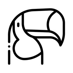 toucan line icon © notivestudios