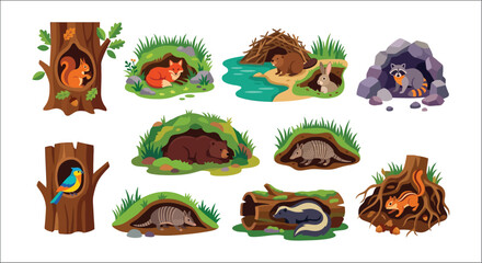 Obraz premium Animal dens and tree hollows colorful vector illustration with woodland creatures