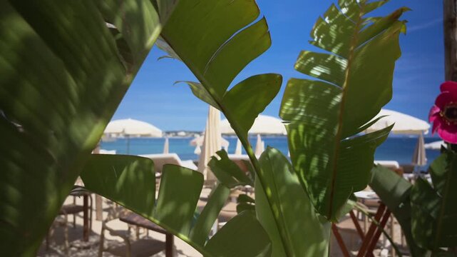 Decorative tropical plants and vibrant flowers overlooking a luxury beachfront lounge area with sunbeds and umbrellas beside the Mediterranean Sea