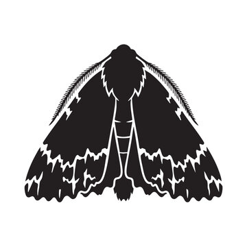 Underwing Moth Resting Glyph Icon Black Silhouette Bark Camouflage Flat Design Vector