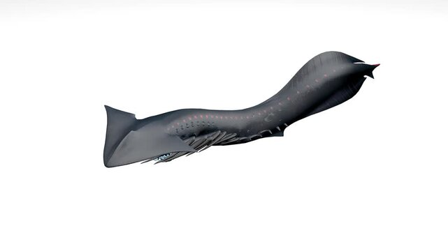 3D animated shadow leviathan sea monster with dark sleek skin and red glowing spots swimming gracefully against a pure white background