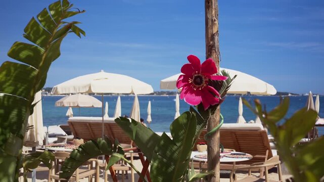 Decorative tropical plants and vibrant flowers overlooking a luxury beachfront lounge area with sunbeds and umbrellas beside the Mediterranean Sea