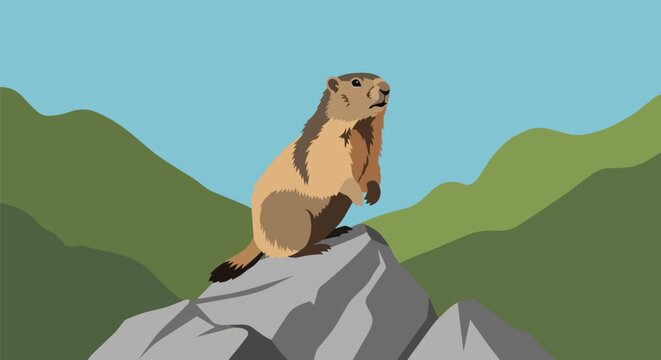 Alpine Marmot Standing on a Rock with Mountain Landscape Background Illustration