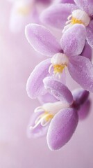 Obraz premium Delicate Pink Floral Detail with Frosty Petals in Soft Light