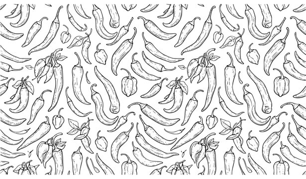 Spicy Chili Pepper Seamless Pattern Hand Drawn Sketch Outline Vector Illustration
&lrm;