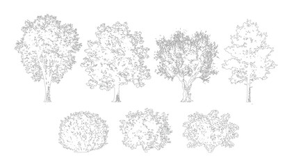 Outline trees and bushes collection vector, pencil sketch style on transparent background, natural landscape elements for design. © SJB studio